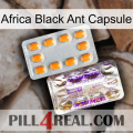 Africa Black Ant Capsule new12